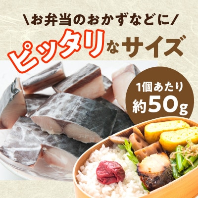 【3ヵ月毎定期便】さわら 切身 約50g×10切れ 500g×全2回 G3721