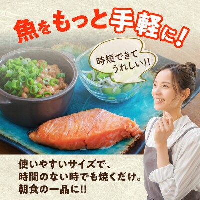 【3ヵ月毎定期便】銀鮭 切身 約50g×10切れ 500g全2回 G3722