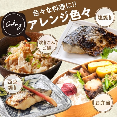 【毎月定期便】さわら 切身 約50g×10切【お弁当サイズ 小分け 漁師 手切り】全2回 G3721