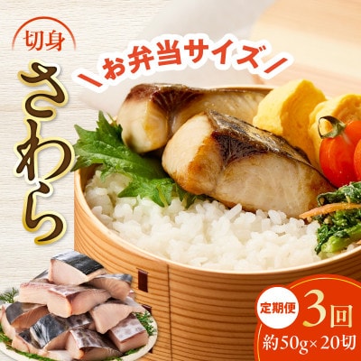 【毎月定期便】さわら 切身 約50g×20切れ お弁当サイズ 小分け 訳あり サイズ不揃い全3回