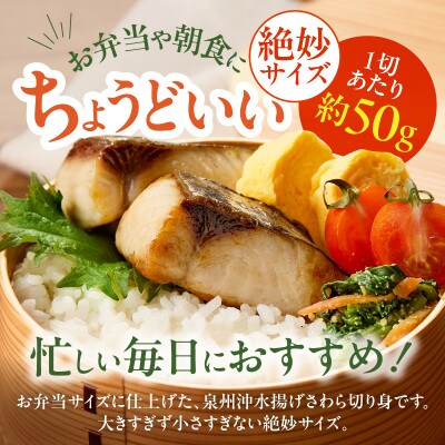 【毎月定期便】さわら 切身 約50g×20切れ お弁当サイズ 小分け 訳あり サイズ不揃い全6回