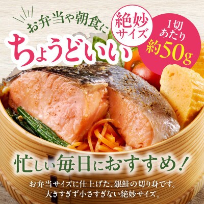 【毎月定期便】銀鮭 切身 約50g×20切れ お弁当サイズ 小分け 訳あり サイズ不揃い全3回