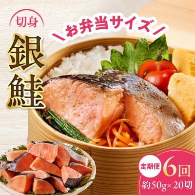 【毎月定期便】銀鮭 切身 約50g×20切れ お弁当サイズ 小分け 訳あり サイズ不揃い全6回