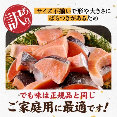 【毎月定期便】銀鮭 切身 約50g×20切れ お弁当サイズ 小分け 訳あり サイズ不揃い全6回