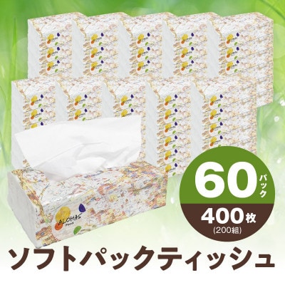 ALOHAS ソフトパックティッシュ 400枚(200組)×60パック 010B1754