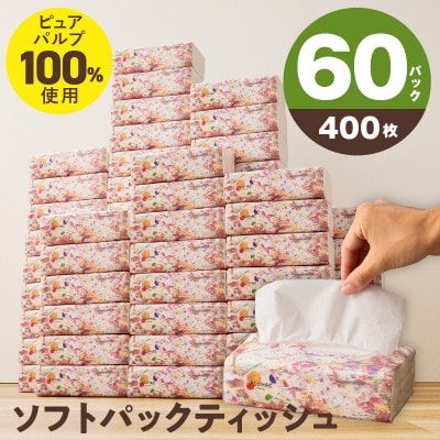 ソフトパックティッシュ 60パック×400枚 010B1754