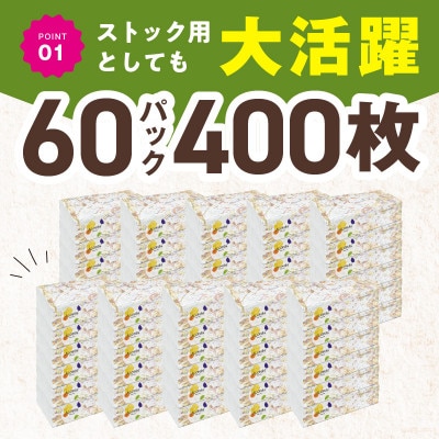 ALOHAS ソフトパックティッシュ 400枚(200組)×60パック 010B1754