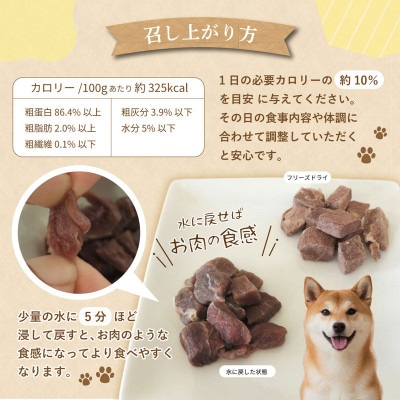 【毎月定期便】馬肉フリーズドライ 犬猫用おやつ 25g×5袋(犬猫用 国産)全3回 099Z358