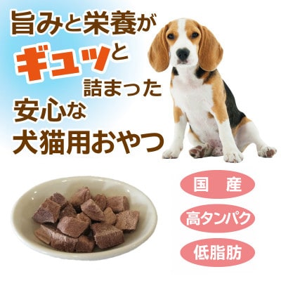 【毎月定期便】馬肉フリーズドライ 犬猫用おやつ 25g×5袋(犬猫用 国産)全3回 099Z358