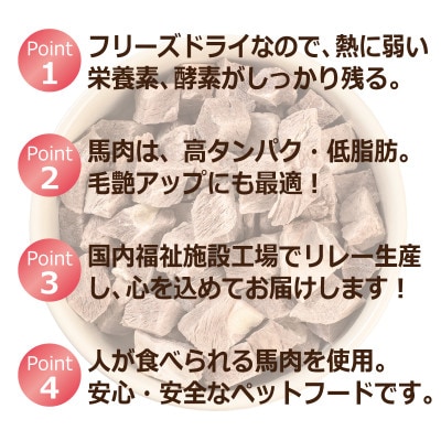 【毎月定期便】馬肉フリーズドライ 犬猫用おやつ 25g×5袋(犬猫用 国産)全6回 099Z362