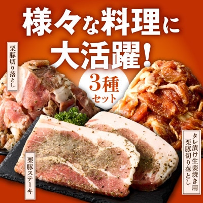 栗豚3種セット 合計4.2kg(ステーキ×4/切り落とし×5/生姜焼き用×5) G3380