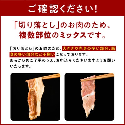 栗豚3種セット 合計4.2kg(ステーキ×4/切り落とし×5/生姜焼き用×5) G3380