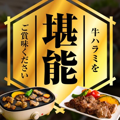 満足牛ハラミ　オリジナルスパイス仕込み 合計2kg　味付け 小分け 焼くだけ G3408