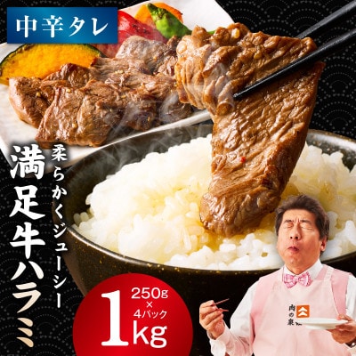 満足牛ハラミ　中辛タレ漬け 合計1kg　牛肉 味付け 小分け 焼肉 焼くだけ　G3357