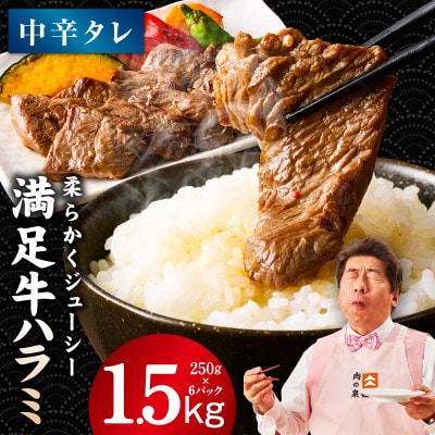 満足牛ハラミ　中辛タレ漬け 合計1.5kg　牛肉 味付け 小分け 焼肉 焼くだけ　G3367