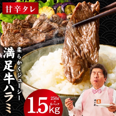 満足牛ハラミ　甘辛タレ漬け 合計1.5kg　牛肉 味付け 小分け 焼肉 焼くだけ G3368