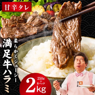 満足牛ハラミ　甘辛タレ漬け 合計2kg　牛肉 味付け 小分け 焼肉 焼くだけ　G3414