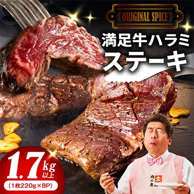 満足牛ハラミステーキ オリジナルスパイス仕込 合計1.76kg 牛肉 小分け 焼肉 099H4192