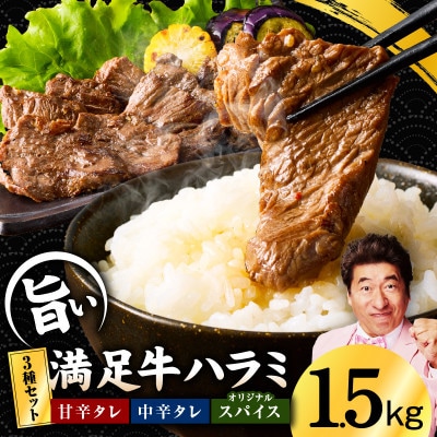 満足牛ハラミ3種セット(甘辛・中辛・オリジナルスパイス)各2袋 合計1.5kg G3364