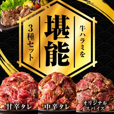 満足牛ハラミ3種セット(甘辛・中辛・オリジナルスパイス)各2袋 合計1.5kg G3364