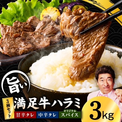 満足牛ハラミ3種セット(甘辛・中辛・オリジナルスパイス)各4袋 合計3kg G3403