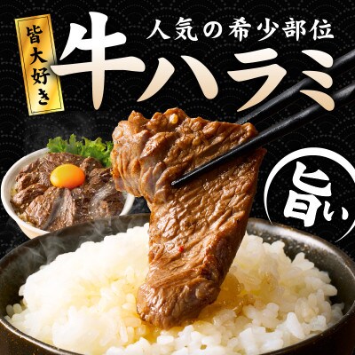 満足牛ハラミ3種セット(甘辛・中辛・オリジナルスパイス)各4袋 合計3kg G3403