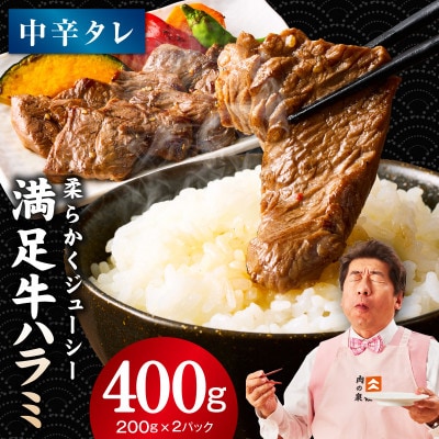 満足牛ハラミ　中辛タレ漬け 合計400g　お試し 味付け 小分け 焼肉 G3447