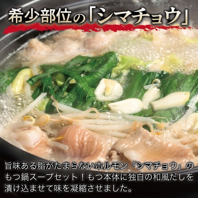 牛もつ鍋セット スープ付 お試し 約3人前【味付け 小分け 牛肉 ホルモン 醤油ベース】G3451