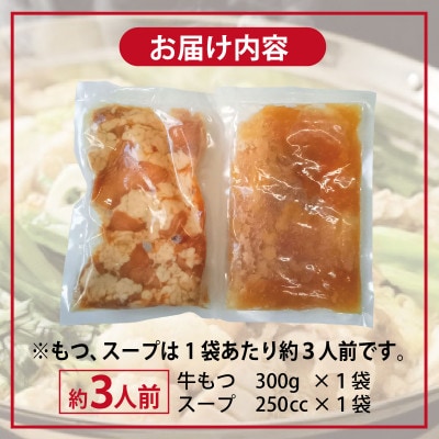 牛もつ鍋セット スープ付 お試し 約3人前【味付け 小分け 牛肉 ホルモン 醤油ベース】G3451