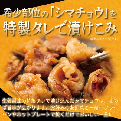 牛シマチョウ 焼肉用 タレ漬け 合計500g【味付け 小分け 牛肉ホルモン】 G3449