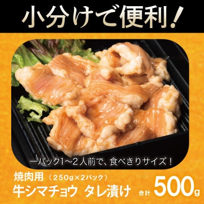 牛シマチョウ 焼肉用 タレ漬け 合計500g【味付け 小分け 牛肉ホルモン】 G3449