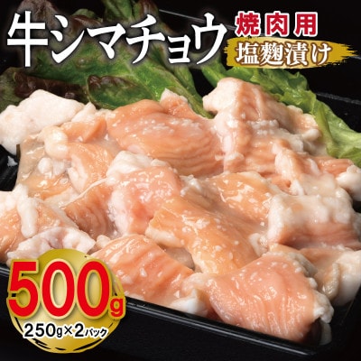 牛シマチョウ 焼肉用 塩麹漬け お試し 合計500g【味付け 小分け 牛肉ホルモン】 G3450