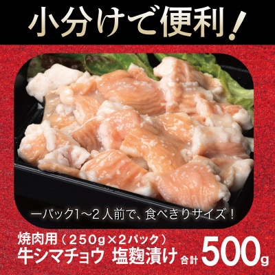 牛シマチョウ 焼肉用 塩麹漬け お試し 合計500g【味付け 小分け 牛肉ホルモン】 G3450