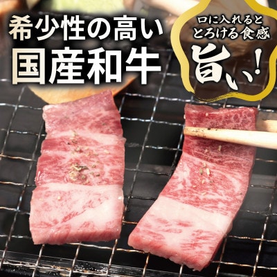 A5ランク 国産和牛 肩ロース 焼肉用 オリジナルスパイス 小分け少量パック(300g×1P)