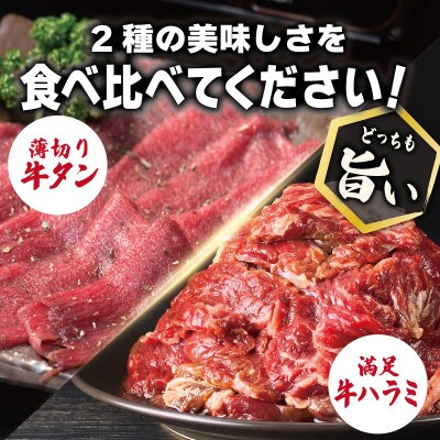 牛タン焼肉 オリジナルスパイス&牛ハラミ甘辛 食べ比べ焼肉セット 合計1kg(250g×4P)