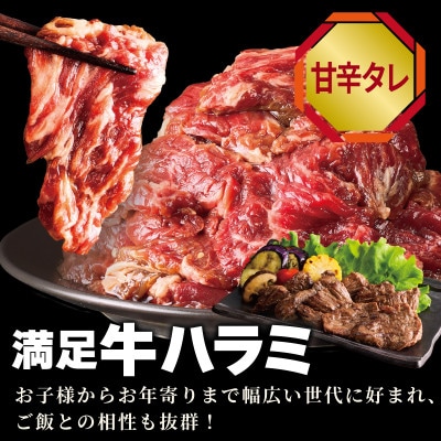 牛タン焼肉 オリジナルスパイス&牛ハラミ甘辛 食べ比べ焼肉セット 合計2kg(250g×8P)