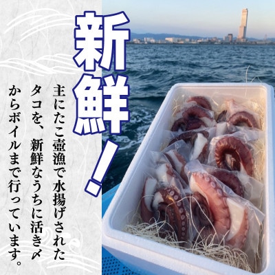 冷凍ボイルタコ 足のみ 合計1kg(100g前後×7～14パック)099H3804