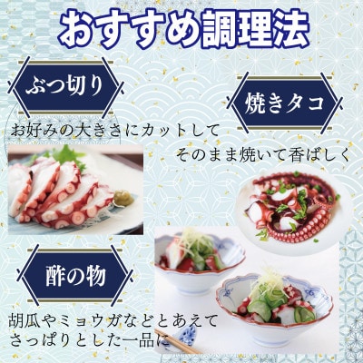 冷凍ボイルタコ 足のみ 合計700g(100g前後×5～10パック)099H3822