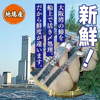 さわら 西京漬け 切り身 合計850g 小分け 5パック 099H3867