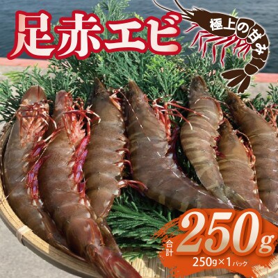 足赤エビ 250g 国産 天然 生食可  010B1862