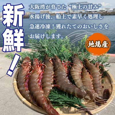 足赤エビ 250g 国産 天然 生食可  010B1862