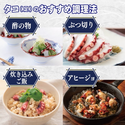 足赤エビ 500g+冷凍ボイルタコ 足のみ 計1kg 合計1.5kg 国産 天然 099H4168