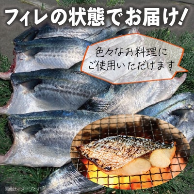 さごしフィレ 合計1.2kg以上 小分け 切り身 魚