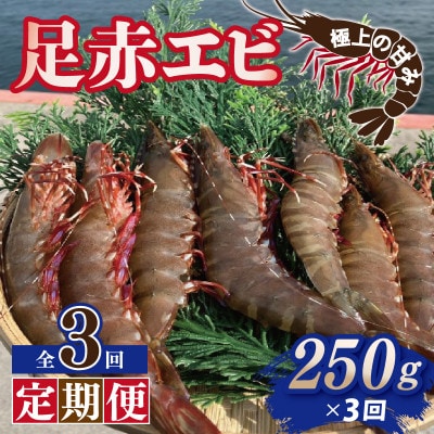 【毎月定期便】足赤エビ250g×全3回　計750g【天然　生食可】099Z386全3回
