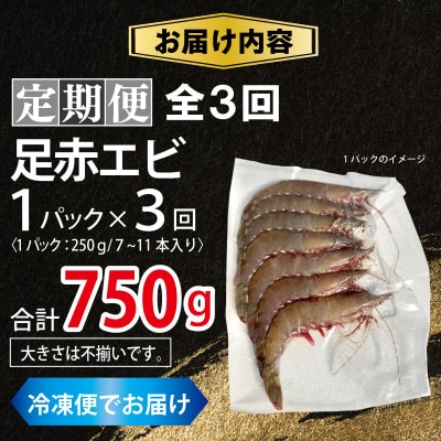 【毎月定期便】足赤エビ250g×全3回　計750g【天然　生食可】099Z386全3回