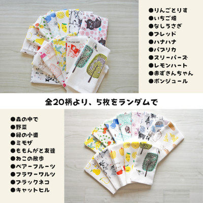 無地熨斗 ふきぴか キッチンタオル 5枚セット ギフト仕様 デザインおまかせ 010B1857
