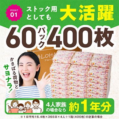 ソフトパックティッシュ 60パック×400枚 ピュアパルプ100% 010B1754