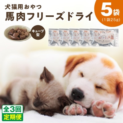 【毎月定期便】馬肉フリーズドライ 犬猫用おやつ 25g×5袋(犬猫用 国産)全3回