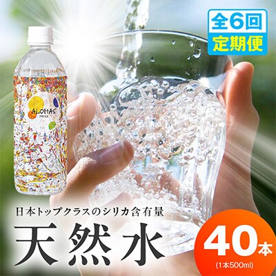 【毎月定期便】ALOHAS シリカ水 合計20L (500ml×40本入り)全6回 099Z363