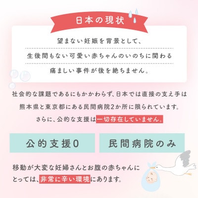 【返礼品なし】赤ちゃんいのちのバトン関連応援寄附(大阪府泉佐野市)LB0003